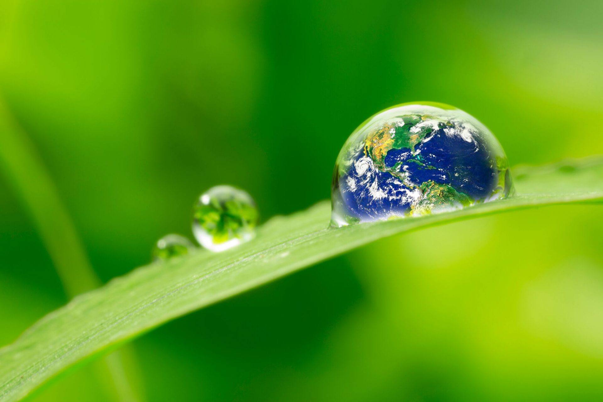 Website Design Trends