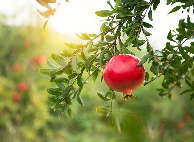 Tips on defining the main purpose of your website